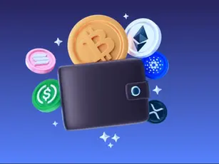 Crypto Wallet cover page via Caanberry