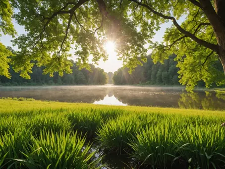A peaceful forest path symbolizing emotional journeys and connections