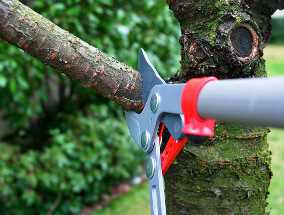 AdobeStock_18697738 (Custom).jpeg