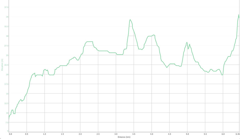 Elevation profile