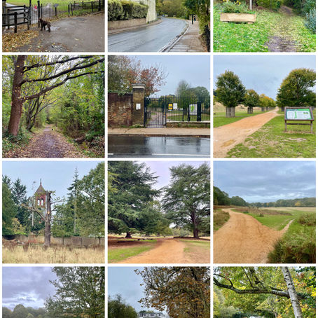 Ham Common Circular - Petersham Common