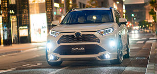 rav4_wald_sp_01.jpeg