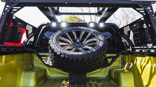 wald_hilux_blackbison_024.jpeg