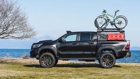 wald_hilux_blackbison_020.jpeg