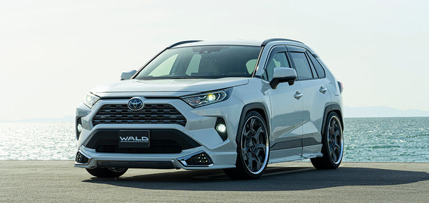 rav4_wald_sp_04.jpeg
