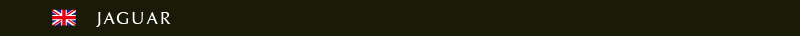 jaguar.gif