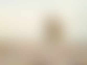 Aromaterapia nella malattia di Parkinson