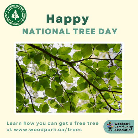National Tree Day