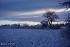 Tommi web-6024-2.jpg