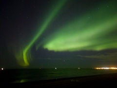 Tommi web-1000002885.jpg