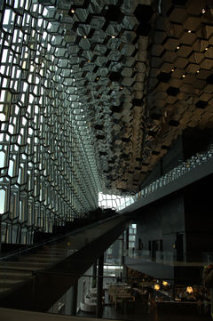 20230216-DSC06855.dng