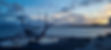 Tommi web-106.jpg