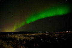 Tommi web-1000002704.jpg