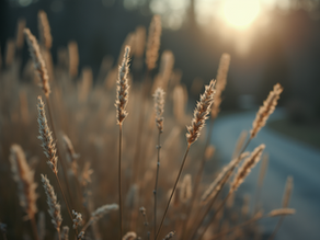 ATKA İNŞAAT Referanslarıyla Kalite Garantisi