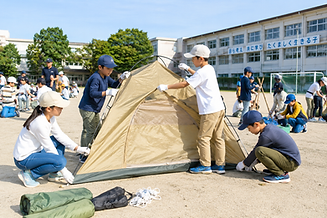 tent-survival-outdoor-skills.png