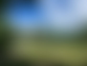 今日からできる「日常防災」5つのアクション/第2回:家の中を安全基地に変える