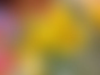 一夜明けました。