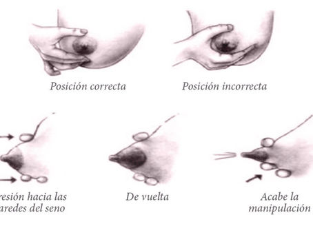 Extracción manual de leche