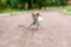 AdobeStock_200893626.jpeg