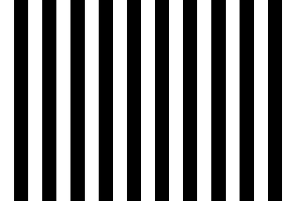 Line black stripes on white background with vintage texture beautiful .jpg