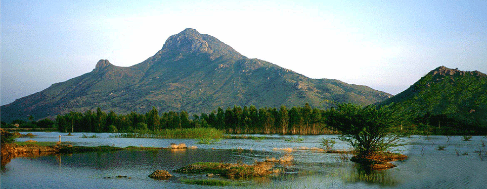 arunachala.gif