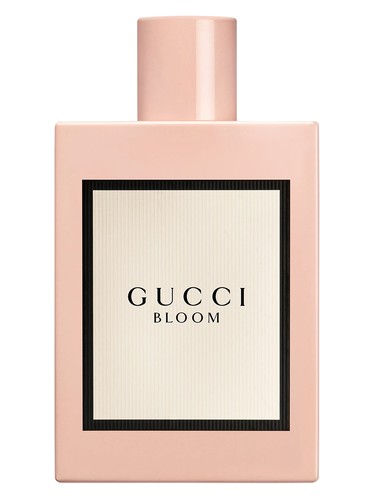 gucci.jpg
