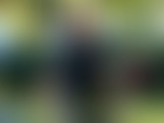 Jeff Bezos Plans to Fly to Space With His Brother Next Month