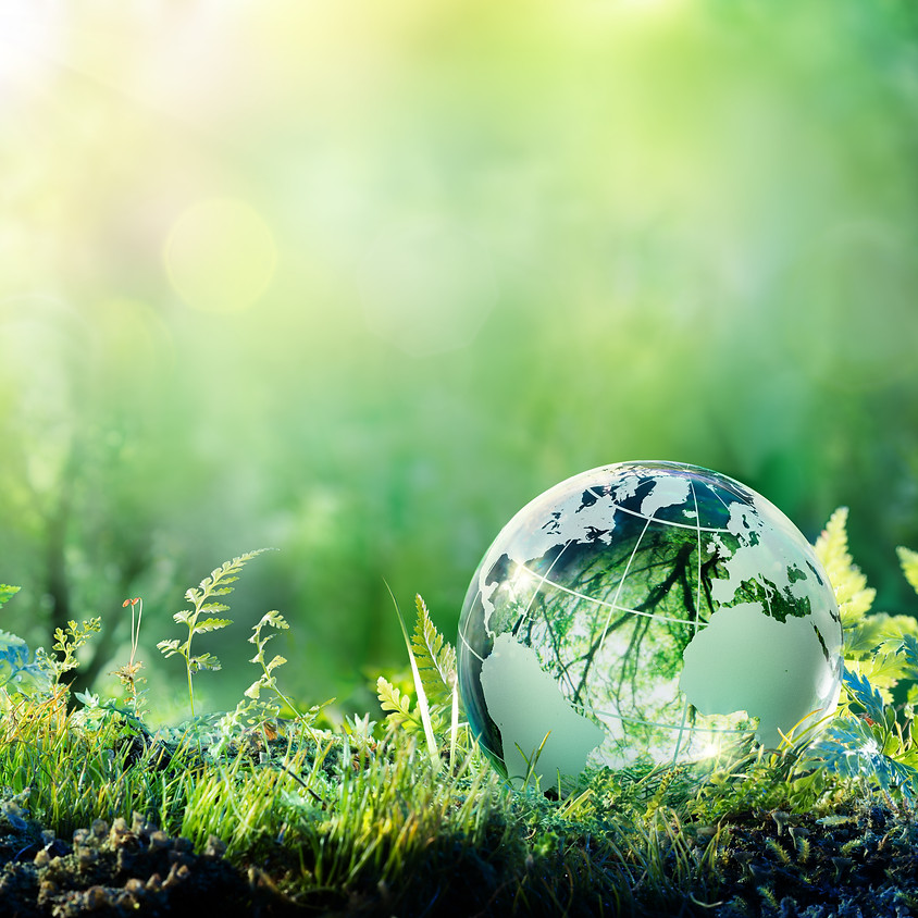 From Boreal Wood to Bioproducts: Shaping the Future Bioeconomy