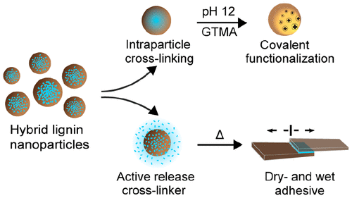 Solvent-Resistant Lignin-Epoxy Hybrid Nanoparticles 