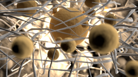 LIGCNF: Tailoring CNF properties by colloidal lignin particles aiming at enhanced properties