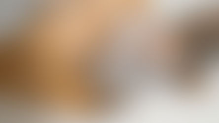 Plant-Based Structures as an Opportunity to Engineer Optical Functions in Next-Generation Light..