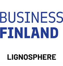 Spherical lignin particles as a platform material for sustainable adhesives and beyond