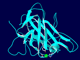 Crystal structure of Tr AA9A extended catalytic domain 5O2W