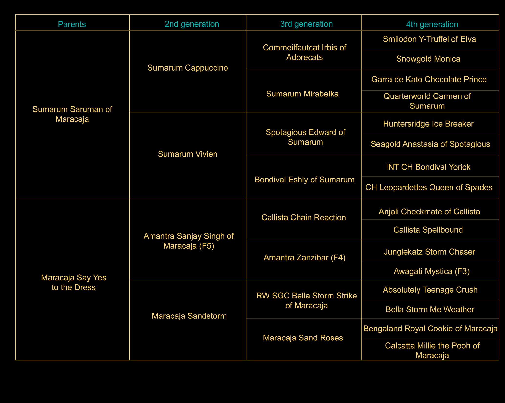 pedigree-en-samara.gif