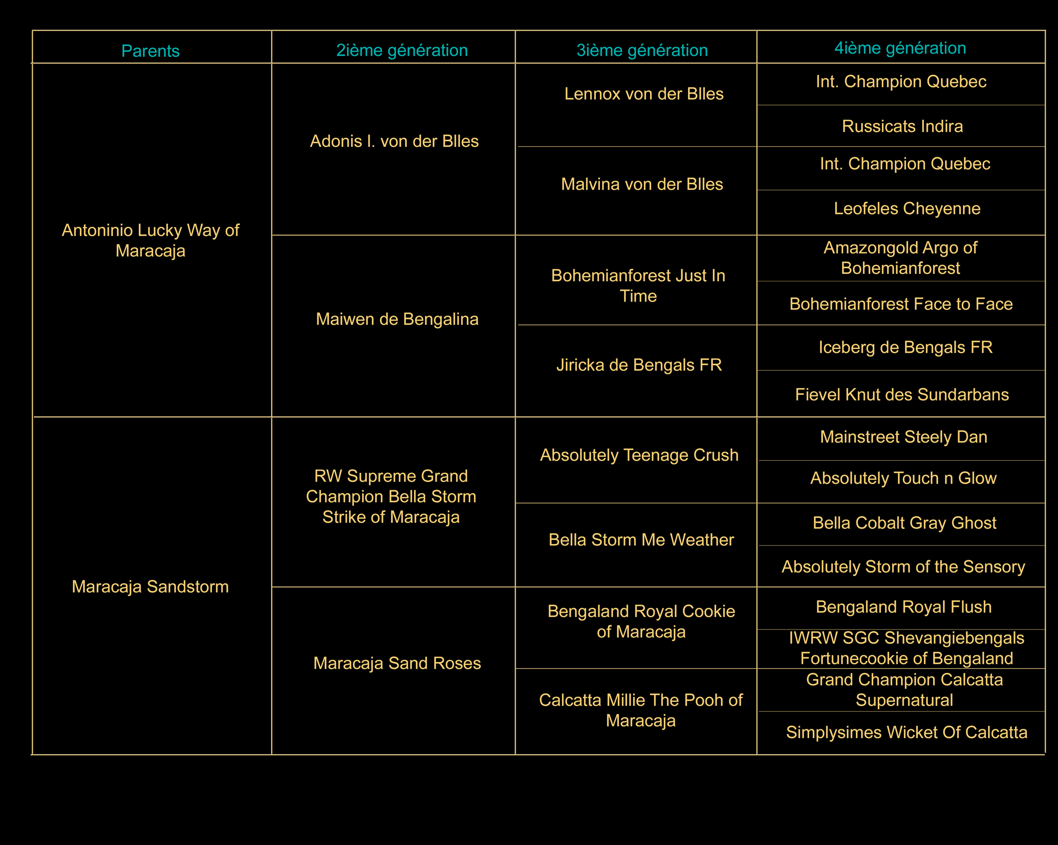 pedigree-fr-indi.gif