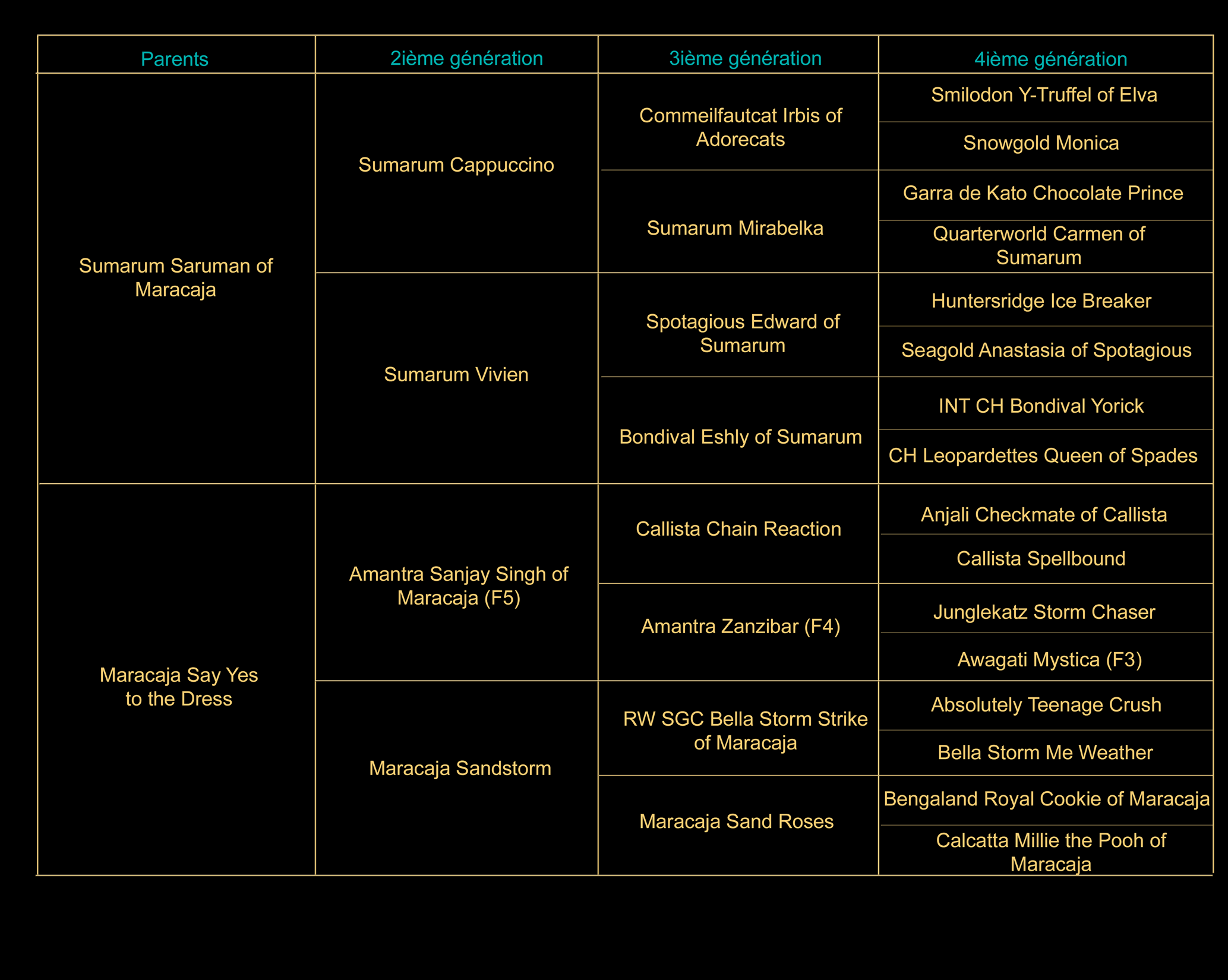 pedigree-fr-samara.gif