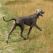 IMG_0693a.png