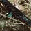 Thumbnail: Castable Weed Rake