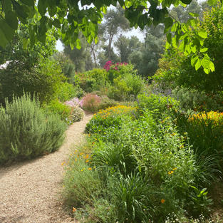 Like with a good novel, the secret of a beautiful garden: show, don’t tell