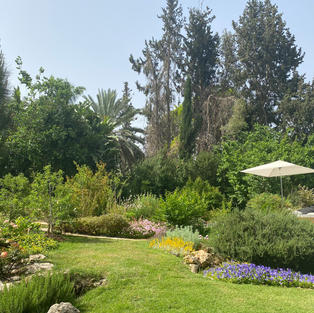 Gardening is a way of life for some people. For me, it is about creating beauty