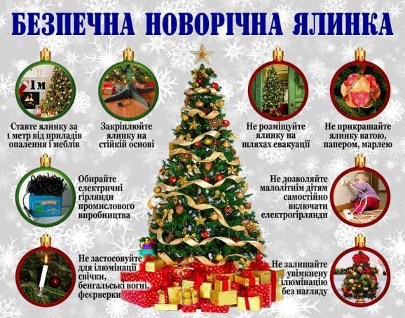 зображення_viber_2021-12-24_15-36-38-390.jpg
