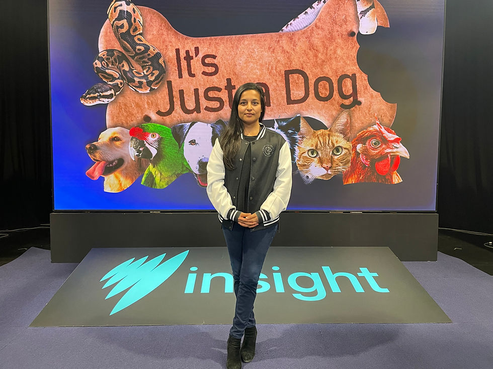 SBS Insight