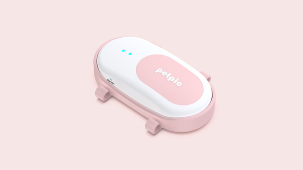 펫픽 확대용.png