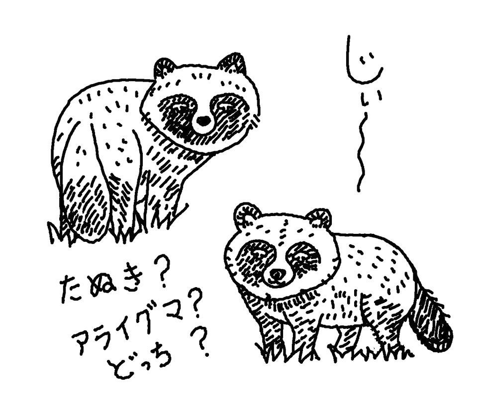 たぬきかアライグマか？