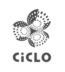Logotipo-Ciclo-vazado-500x500pxLogotipo-Ciclo-Chumbo.png