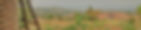 0805170458_HDR.jpg