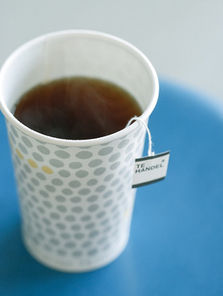 サイトリニューアル プレオープンしました