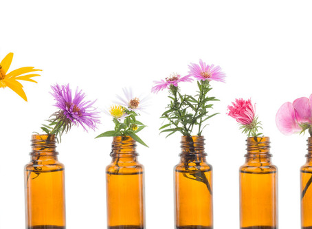 How flowers can help alleviate PTSD