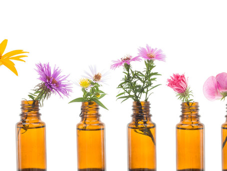 How flowers can help alleviate PTSD