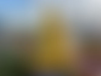Liderança além do roteiro: o que o desconhecido nos ensina